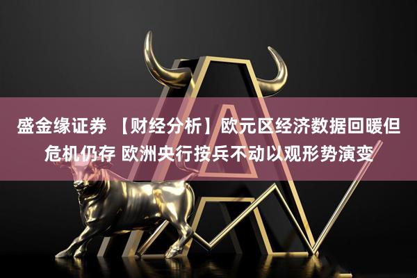 盛金缘证券 【财经分析】欧元区经济数据回暖但危机仍存 欧洲央行按兵不动以观形势演变
