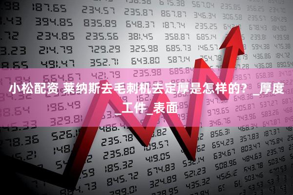 小松配资 莱纳斯去毛刺机去定厚是怎样的？_厚度_工件_表面
