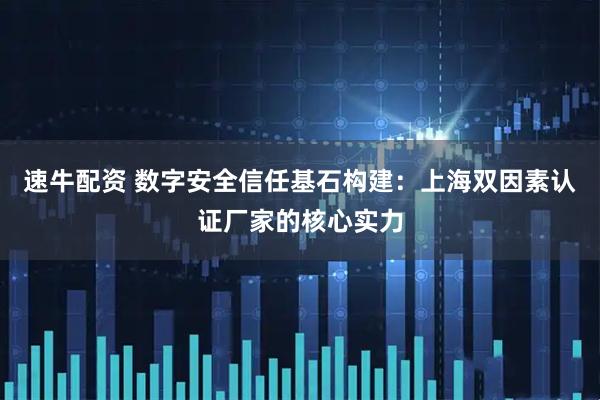 速牛配资 数字安全信任基石构建：上海双因素认证厂家的核心实力